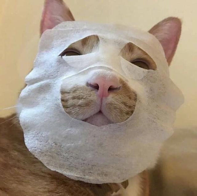 敷面膜3.jpg